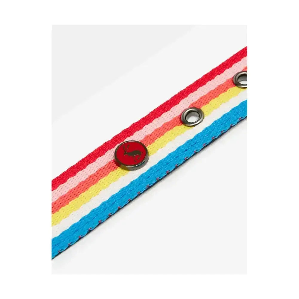 Joules rainbow stripe dog collar with rainbow-striped canvas, metallic grommets, and a red circular buckle, a striking dog collar