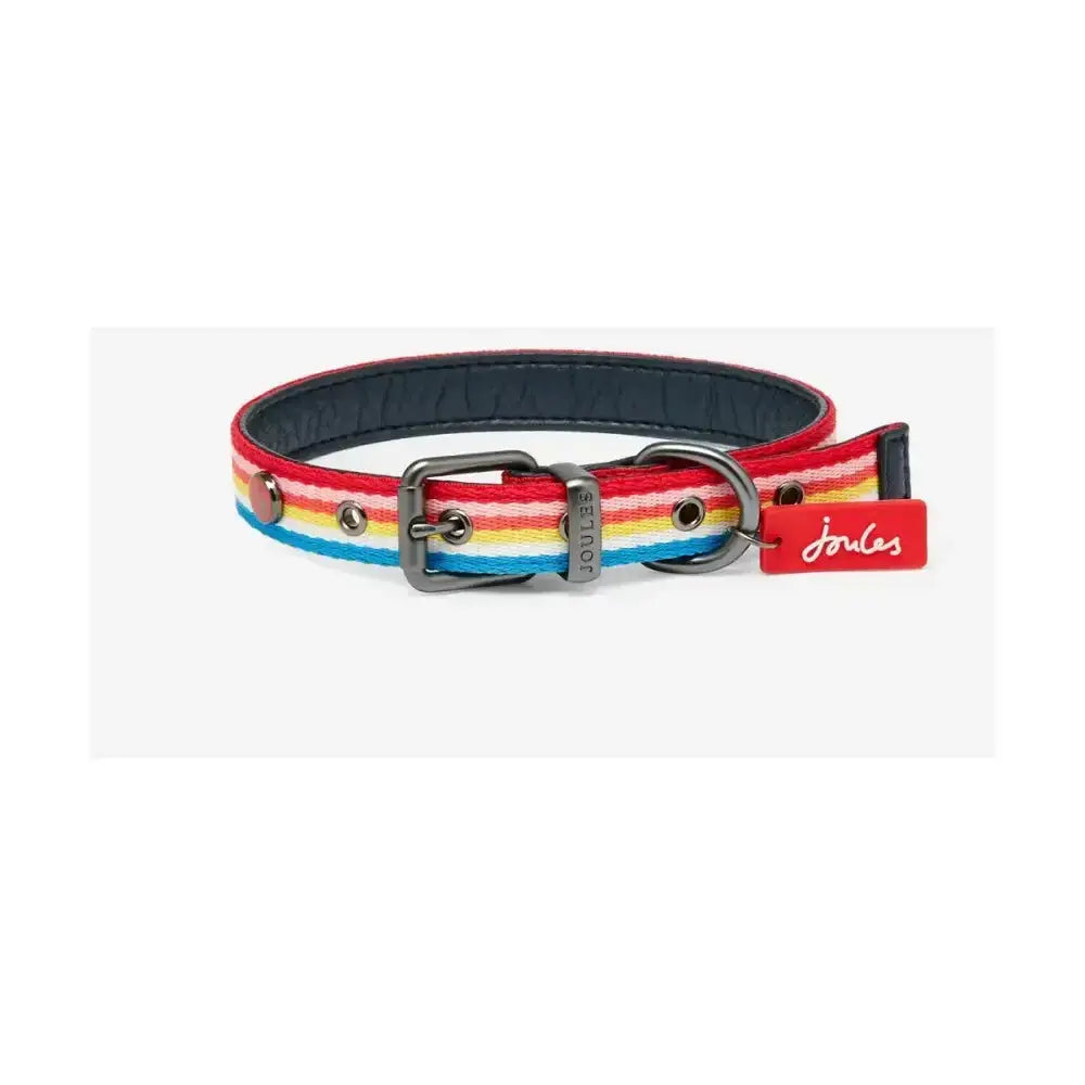 Joules rainbow stripe dog collar with rainbow woven stripes, black lining, and silver buckle, a striking dog collar choice