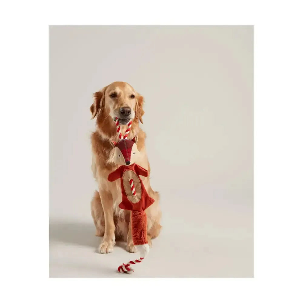 Joules Rope Heritage Tweed Fox Brown Small Pet