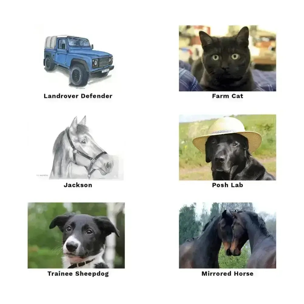 Kevin Milner Countryside Cards Shetland Horsey Greeting Cards