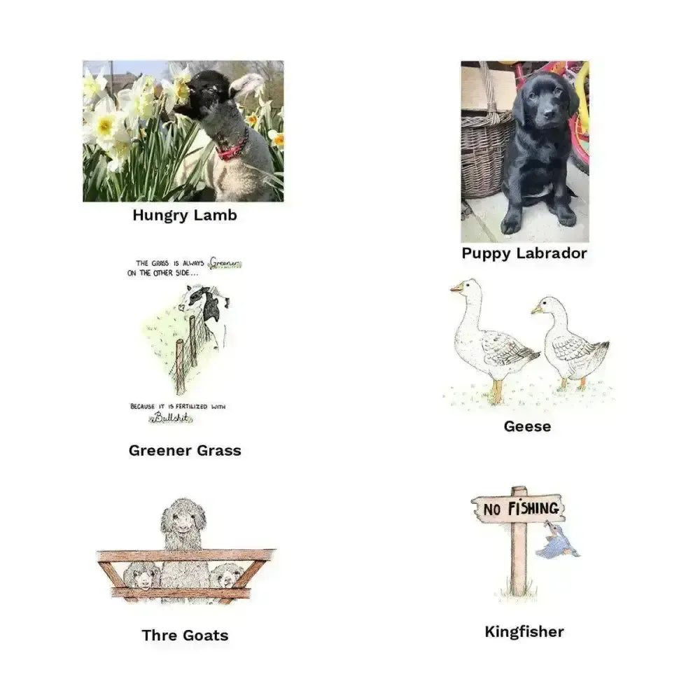 Kevin Milner Countryside Cards Shetland Horsey Greeting Cards