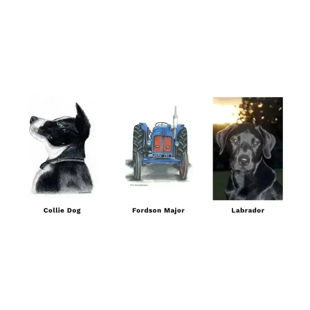 Kevin Milner Countryside Cards Shetland Horsey Greeting Cards