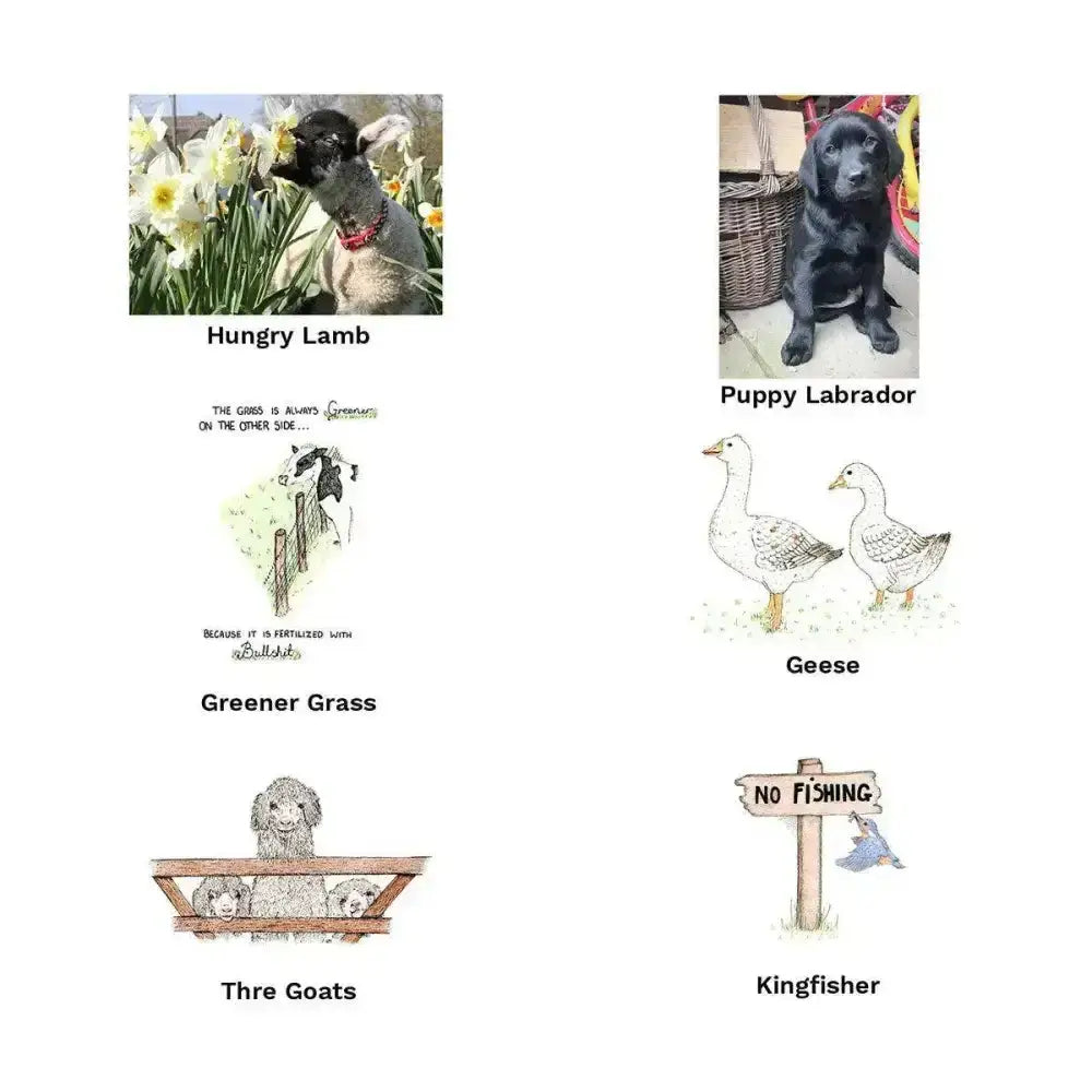 Black puppy labrador with red collar sitting on white surface on a unique kevin milner countryside greeting card