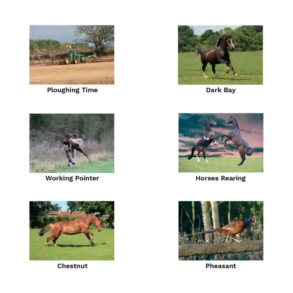 Dark bay horse with white face and leg markings galloping in grassy field on kevin milner countryside unique greeting card