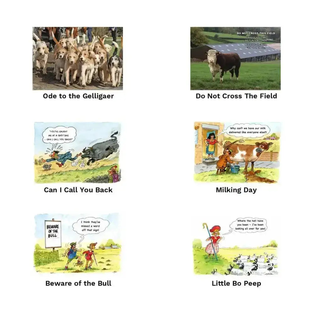 Six colorful kevin milner countryside cards with funny farm animal illustrations perfect as unique greeting cards