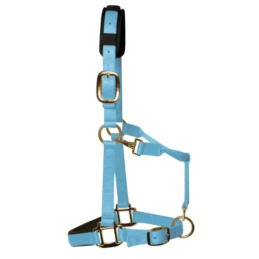 Light blue nylon km elite padded headcollar baby with black padded noseband and gold metal hardware headcollar baby blue