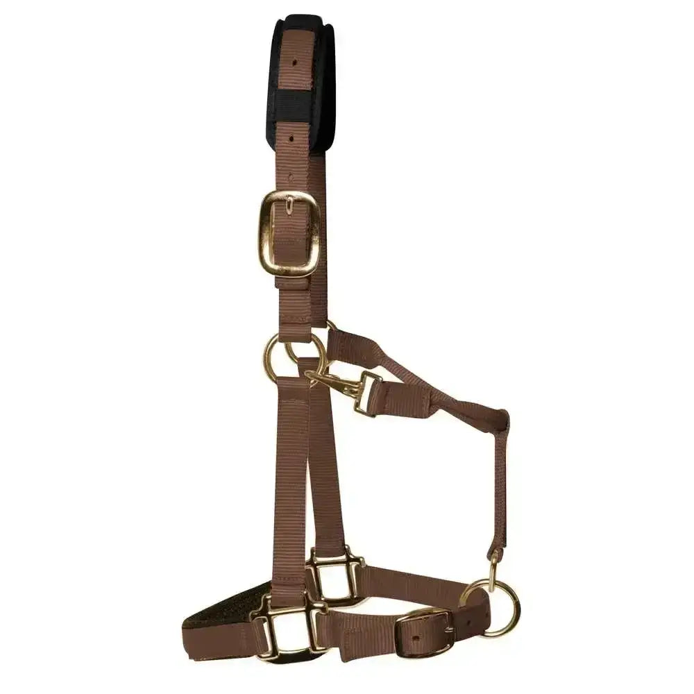 Brown nylon padded headcollar brown with black padded headpiece and brass hardware km elite luxurious head collar