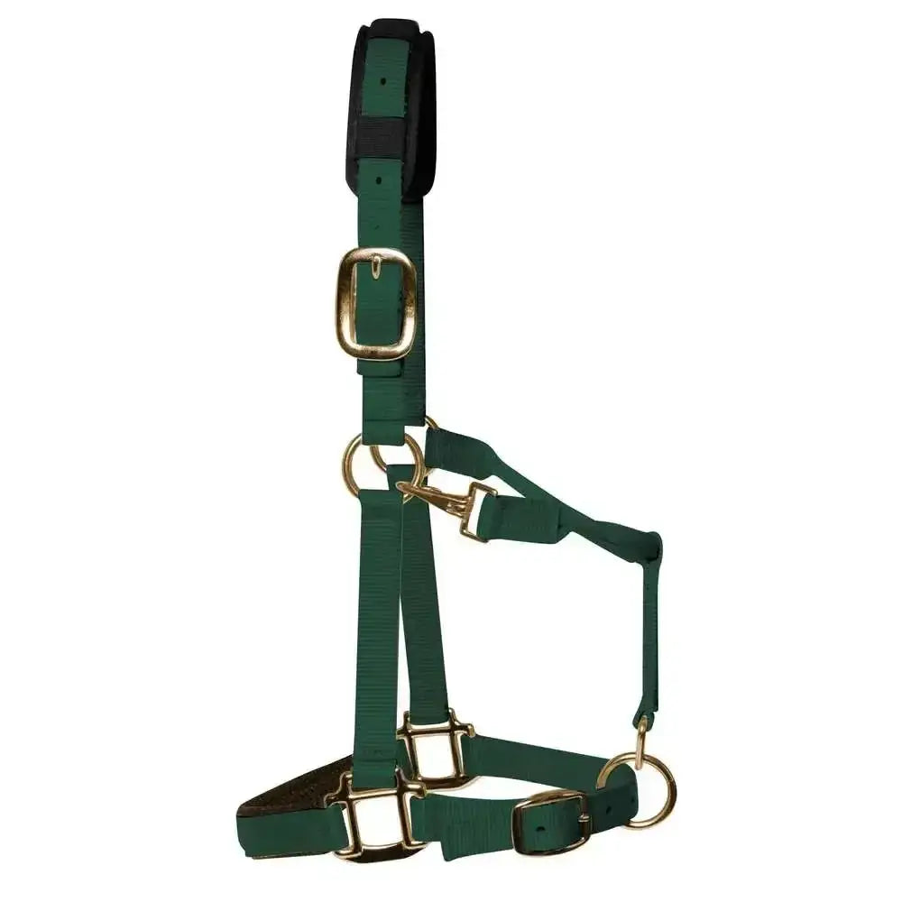 Dark green leather km elite padded headcollar with gold buckles and rings padded headcollar hunter green