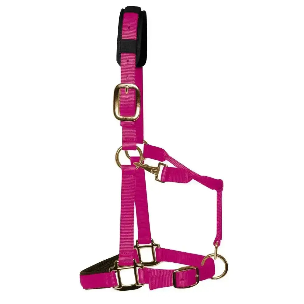 Bright pink nylon km elite padded headcollar raspberry with gold hardware and black padded headpiece for comfort