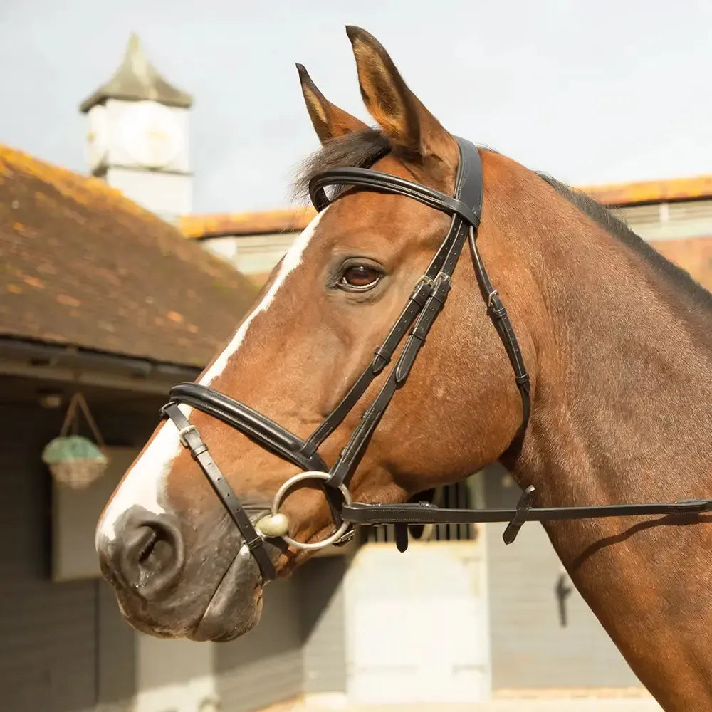 KM Elite Training Bridle Havana Cob Bridles