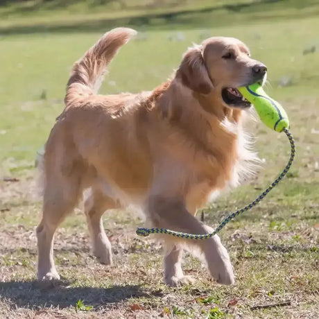 Kong Airdog Fetch Stick With Rope Medium Dog Toys