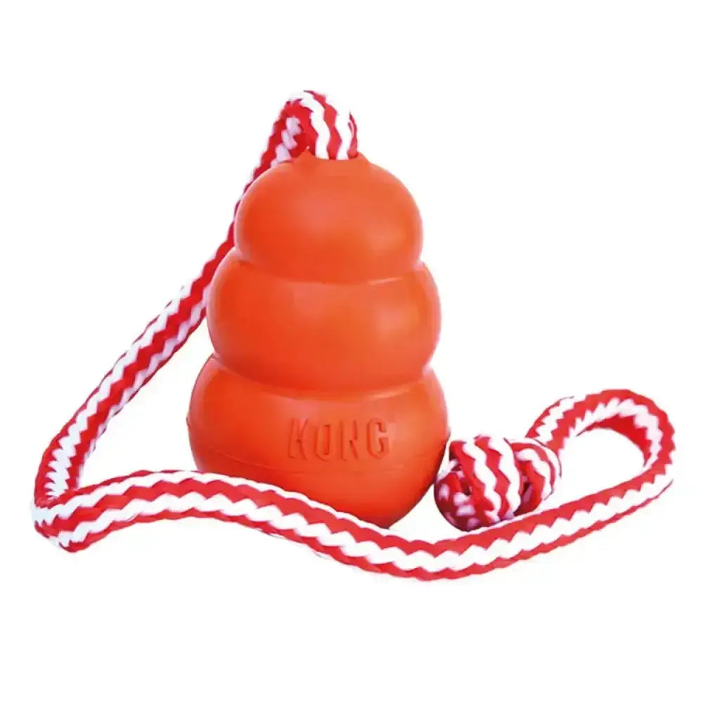 Kong Aqua Medium Dog Toys