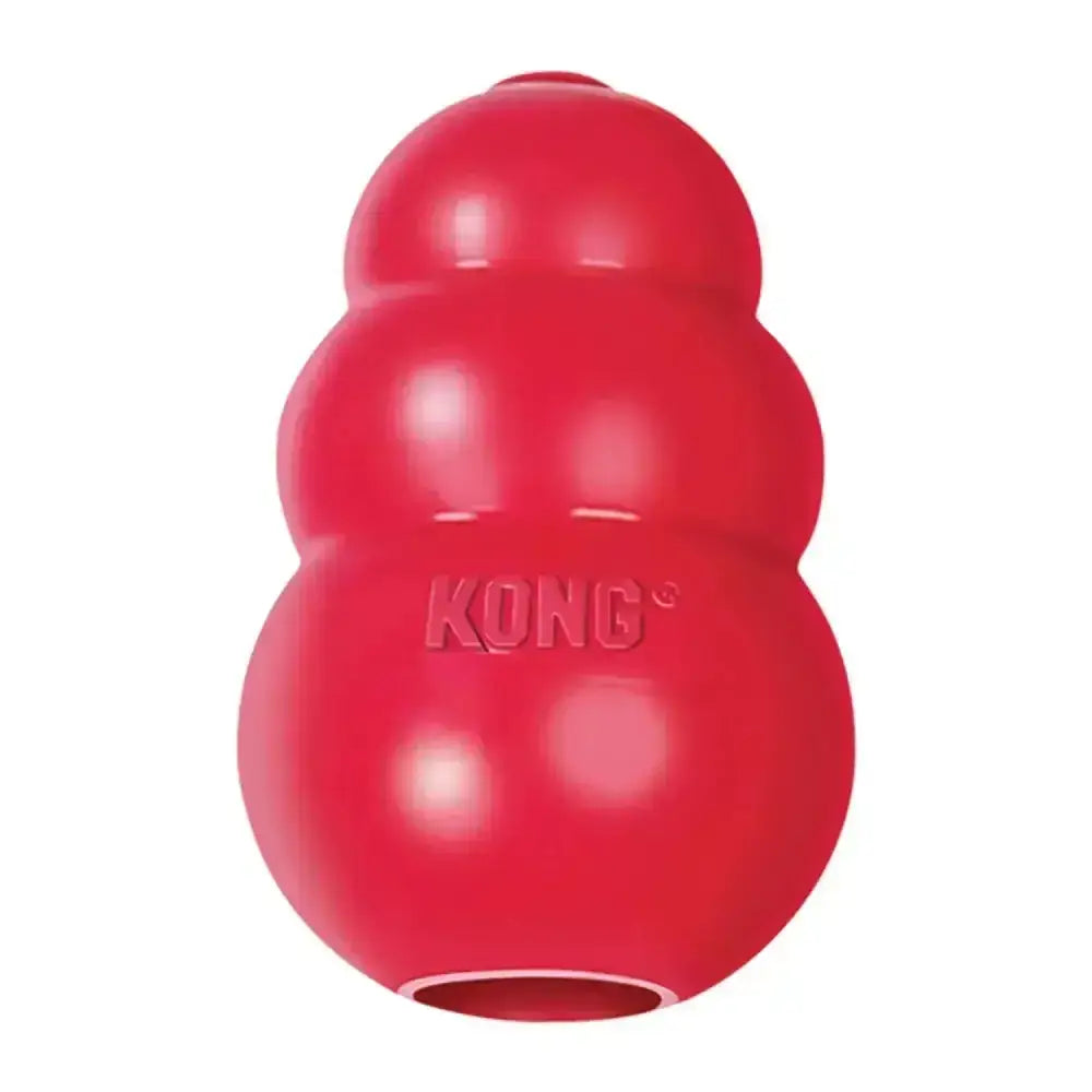 Red kong classic dog toy with glossy durable plastic and segmented rounded design is a gold standard dog toy
