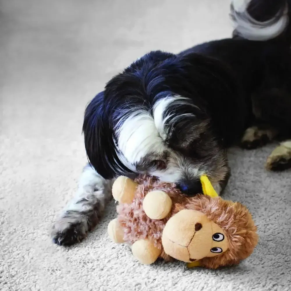 Kong Cruncheez Sheep Large Dog Toys