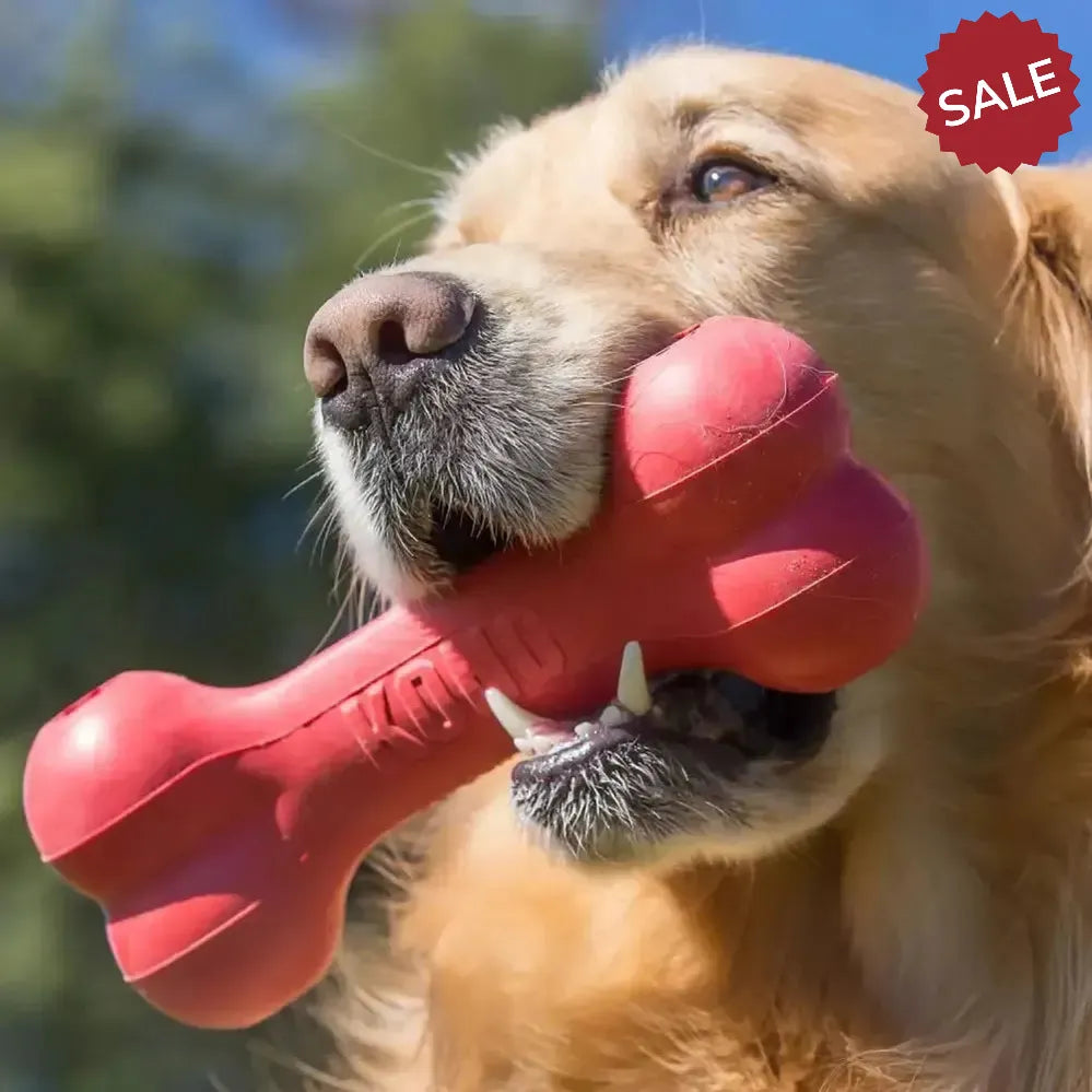 Kong Goodie Bone Small Red Dog Toys