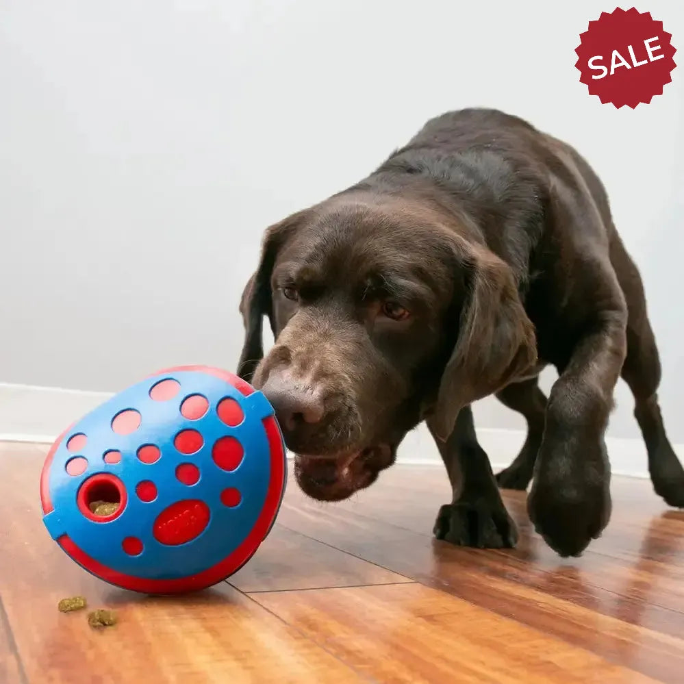 Kong Rewards Wally Medium/Large Dog Toys