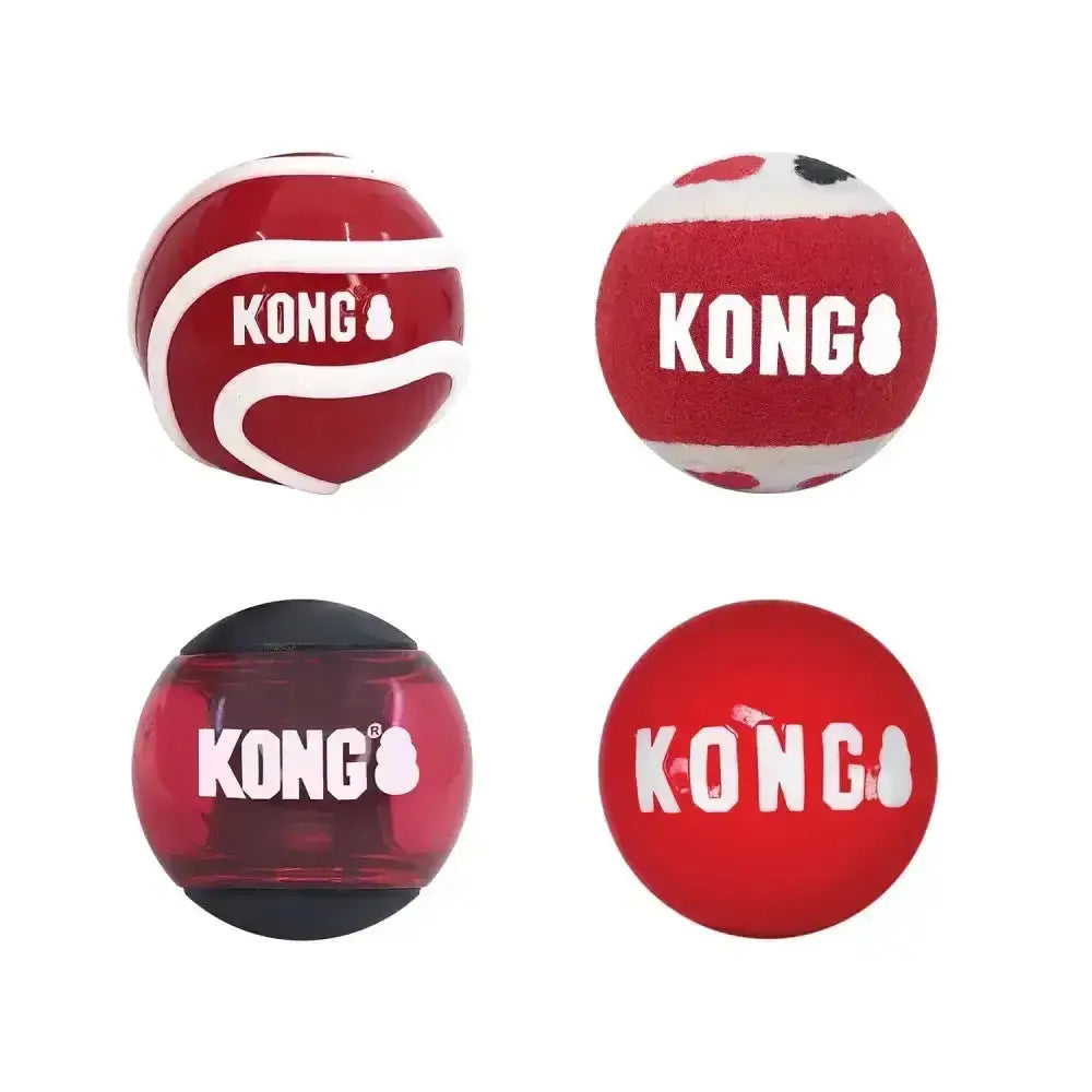 Kong Signature Balls Assorted Small X 4 Pack Assorted Dog Toys