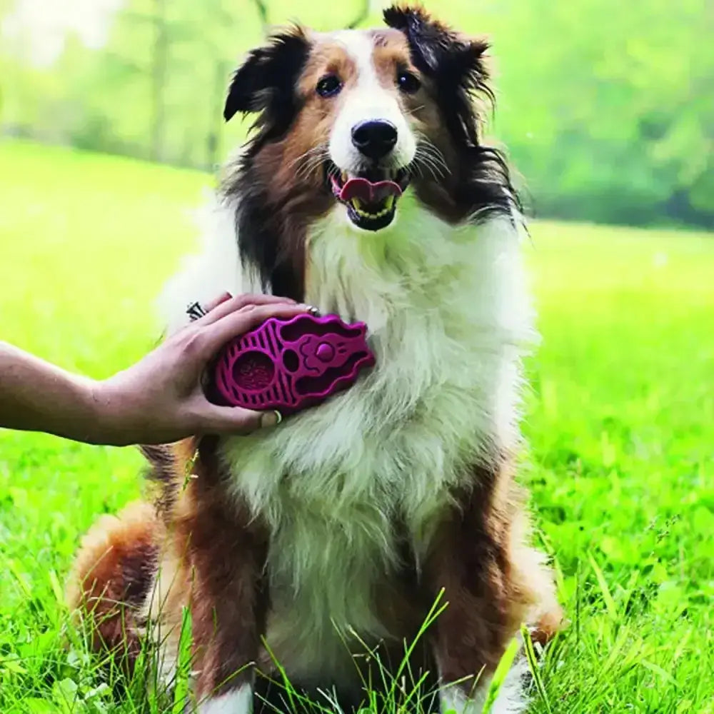 Vibrant pink silicone kong zoomgroom shampooing brush with skull design for dog toys and grooming use