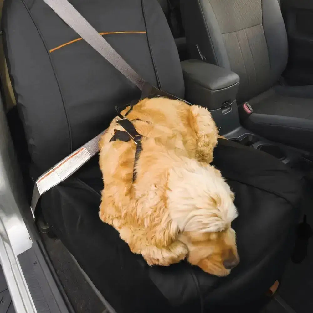 Fluffy golden dog resting on kurgo co-pilot bucket dog seat cover in black coverall design for car seats