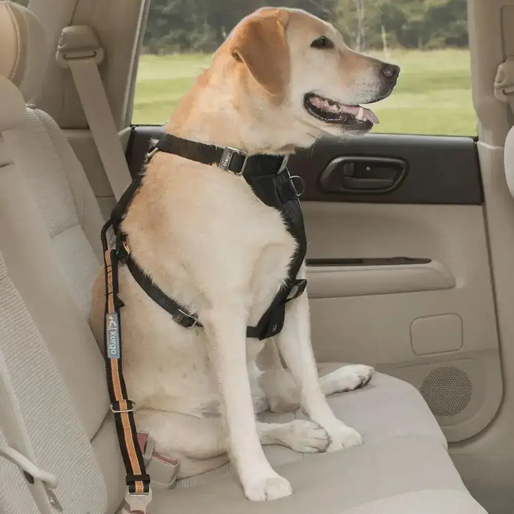 Black dog harness with orange and gray striped straps featuring swivel action in kurgo direct to seatbelt tether