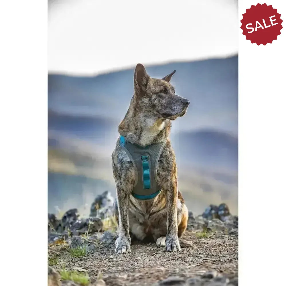 Kurgo Journey Air Harness Blue X Small Blue Dog Harness