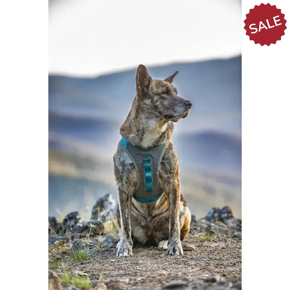 Kurgo Journey Air Harness Blue X Small Blue Dog Harness