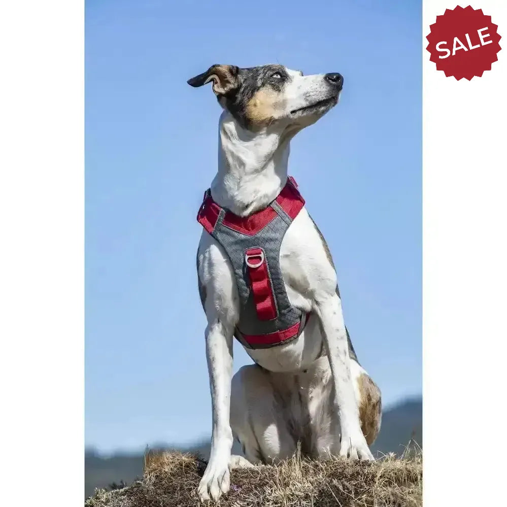 Kurgo Journey Air Harness Red X Small Red Dog Harness