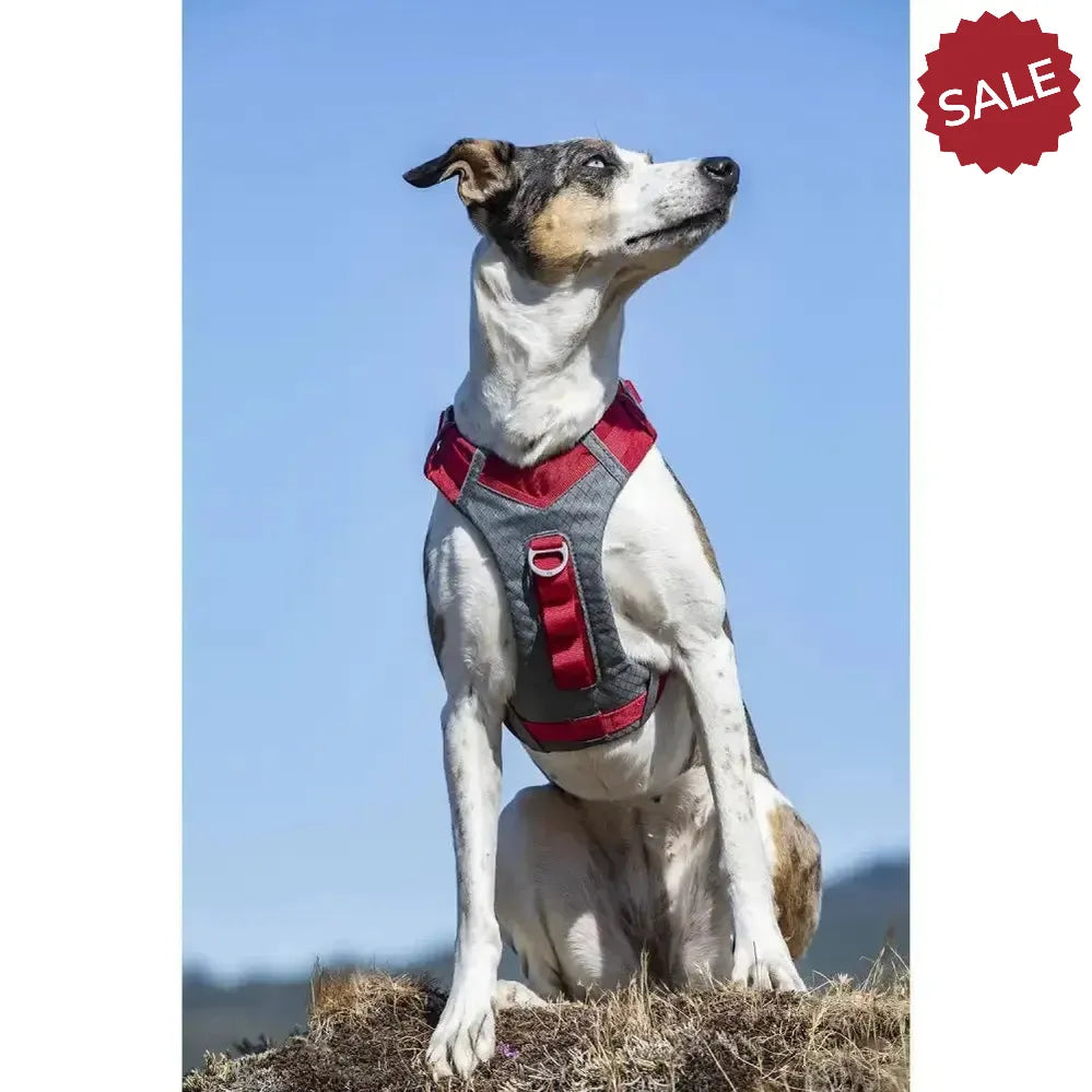 Kurgo Journey Air Harness Red X Small Red Dog Harness