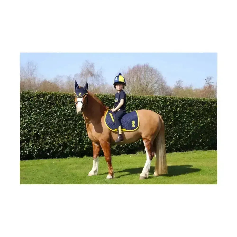Lancelot Fly Veil by Little Knight Navy/Yellow Pony/Cob Horse Ear Bonnets