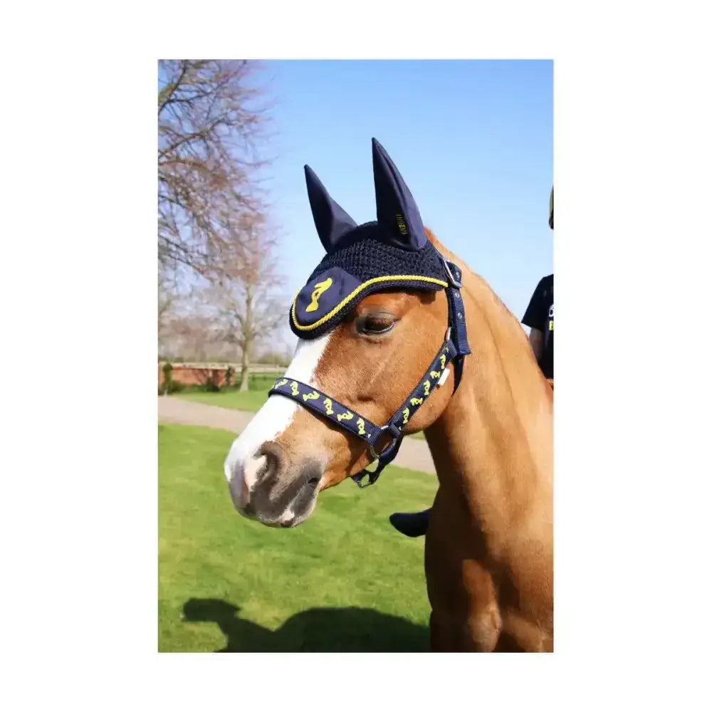 Navy head collar with yellow trim and knight emblem detailing featuring adjustable straps for secure fit by little knight