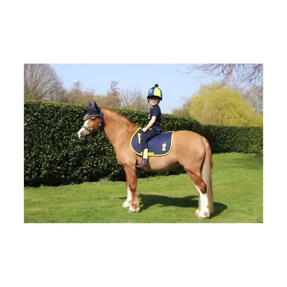 A young rider on a chestnut horse wears the lancelot head collar and lead rope with navy head collar and knight emblem detailing