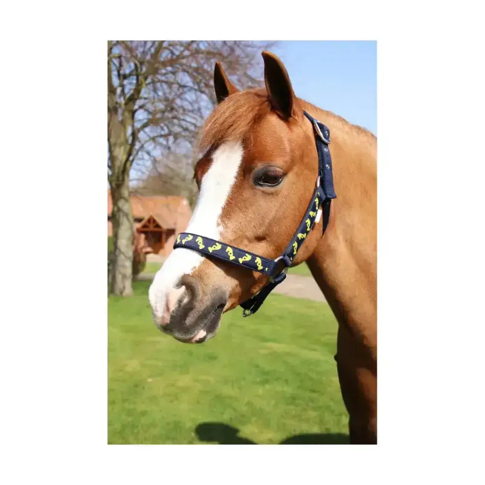 Navy head collar with yellow horse hoof prints and knight emblem detailing in the lancelot head collar by little knight