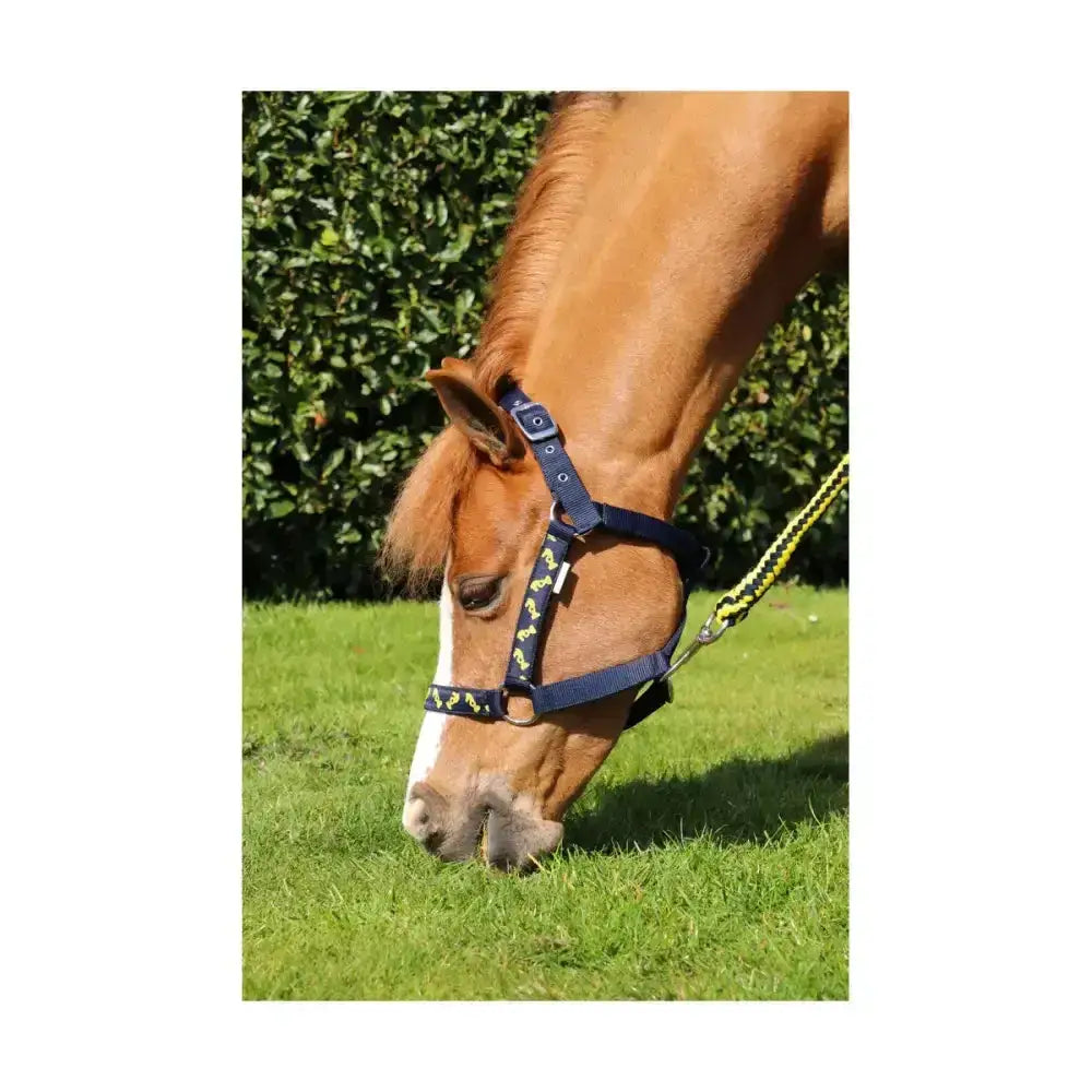 Navy head collar lancelot head collar by little knight with yellow butterfly pattern and knight emblem detailing