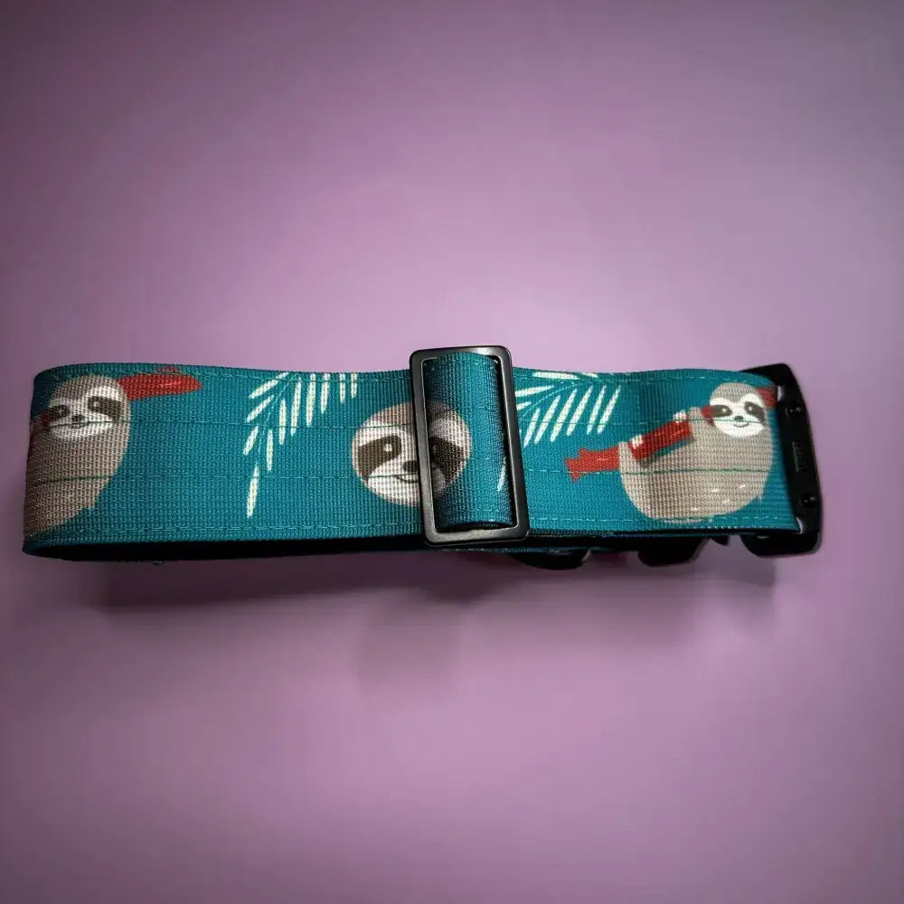 Teal fabric tactical dog collar with lazy sloth print and black buckle on mint green base for large dogs