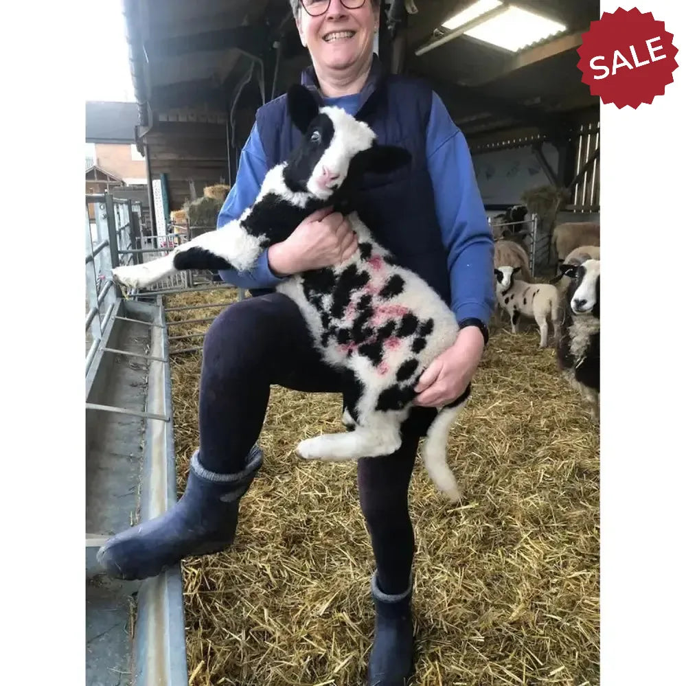 Lbc Ultralight Ankle Boots Navy (36) 3 Navy Yard Boots