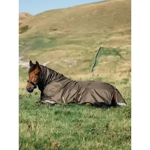 Lemieux Arika 600D Ripstop 100g Turnout Rug Alpine 4'9 Alpine Turnout Rugs
