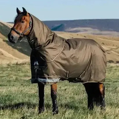 Lemieux Arika 600D Ripstop 100g Turnout Rug Alpine 4'9 Alpine Turnout Rugs