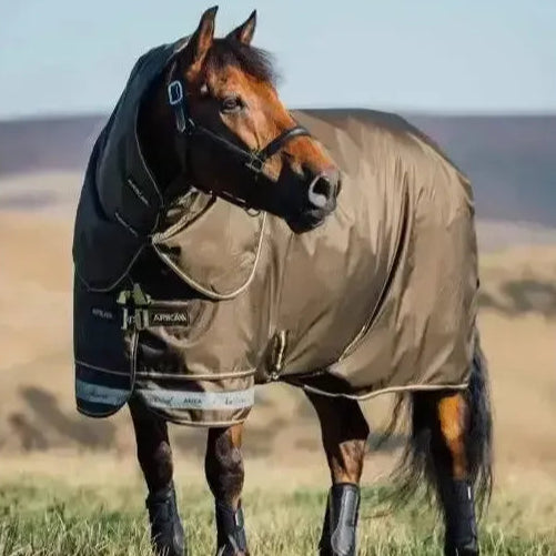 Lemieux Arika 600D Ripstop 200g Turnout Rug Alpine 4'9 Alpine Turnout Rugs