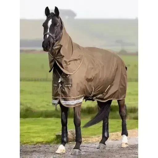 Lemieux Arika 600D Ripstop 50g Turnout Rug Alpine 4'9 Alpine Turnout Rugs