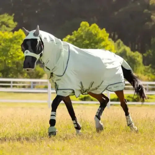 Lemieux Arika Armour-Tek Fly Rug Macaron Macaron 3'9" Fly Rugs