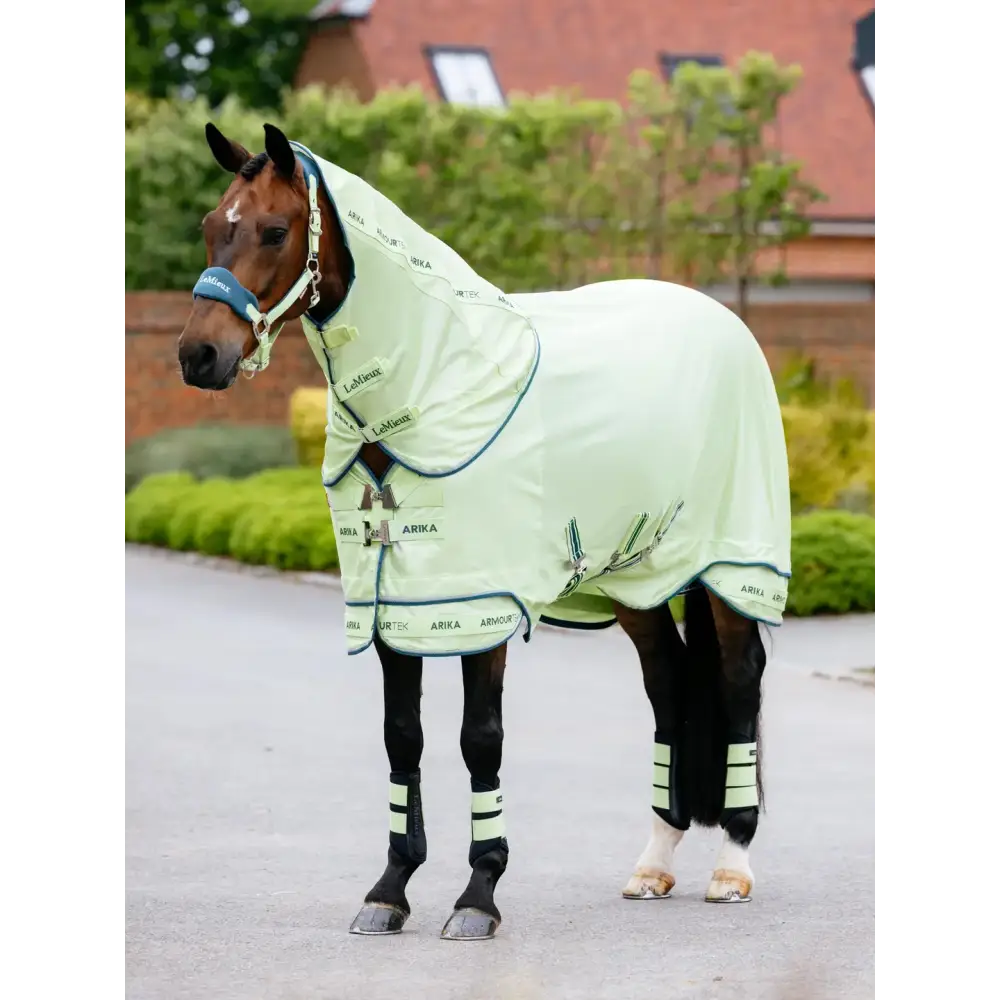 Lemieux Arika Armour-Tek Fly Rug Macaron Macaron 3'9" Fly Rugs