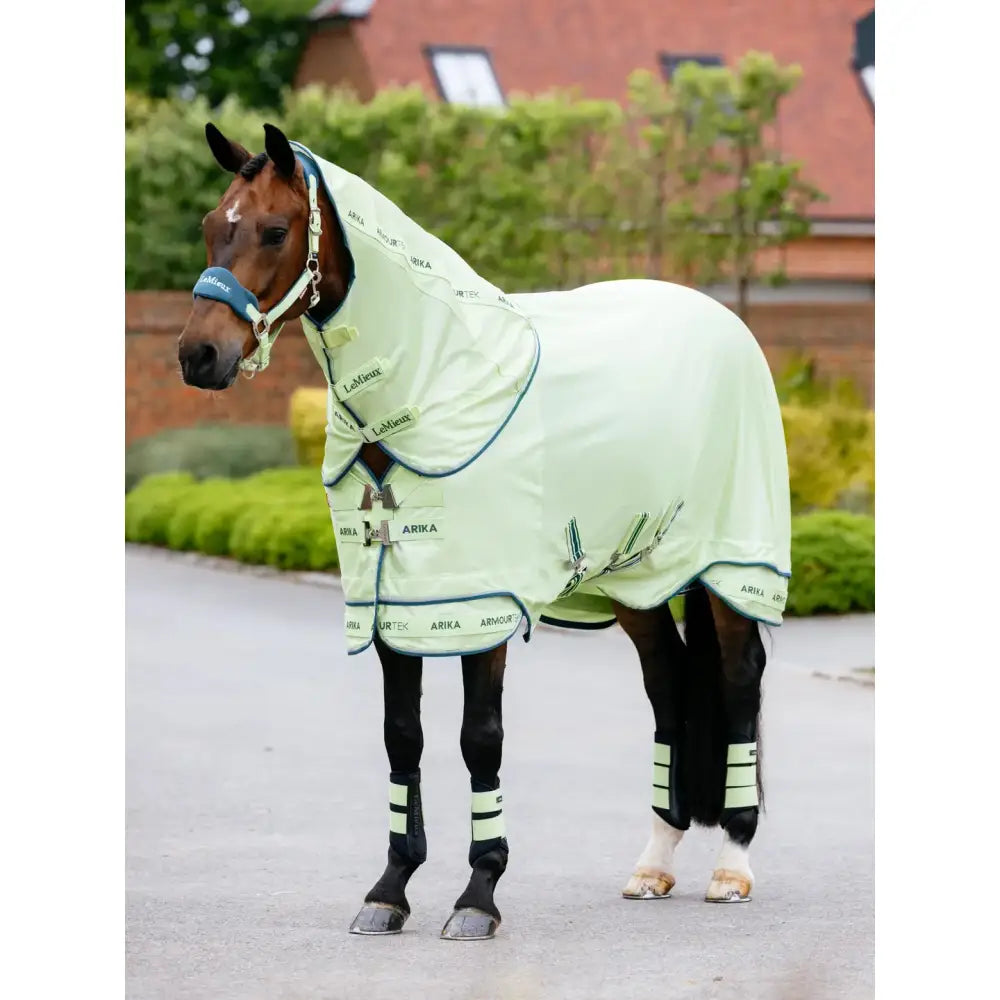 A light green lemieux arika armour-tek fly rug macaron with navy trim and breathable fabric for horse comfort