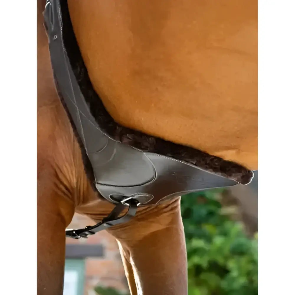 Black leather lemieux arika contoured stud girth brown with plush dark brown fleece lining for comfort