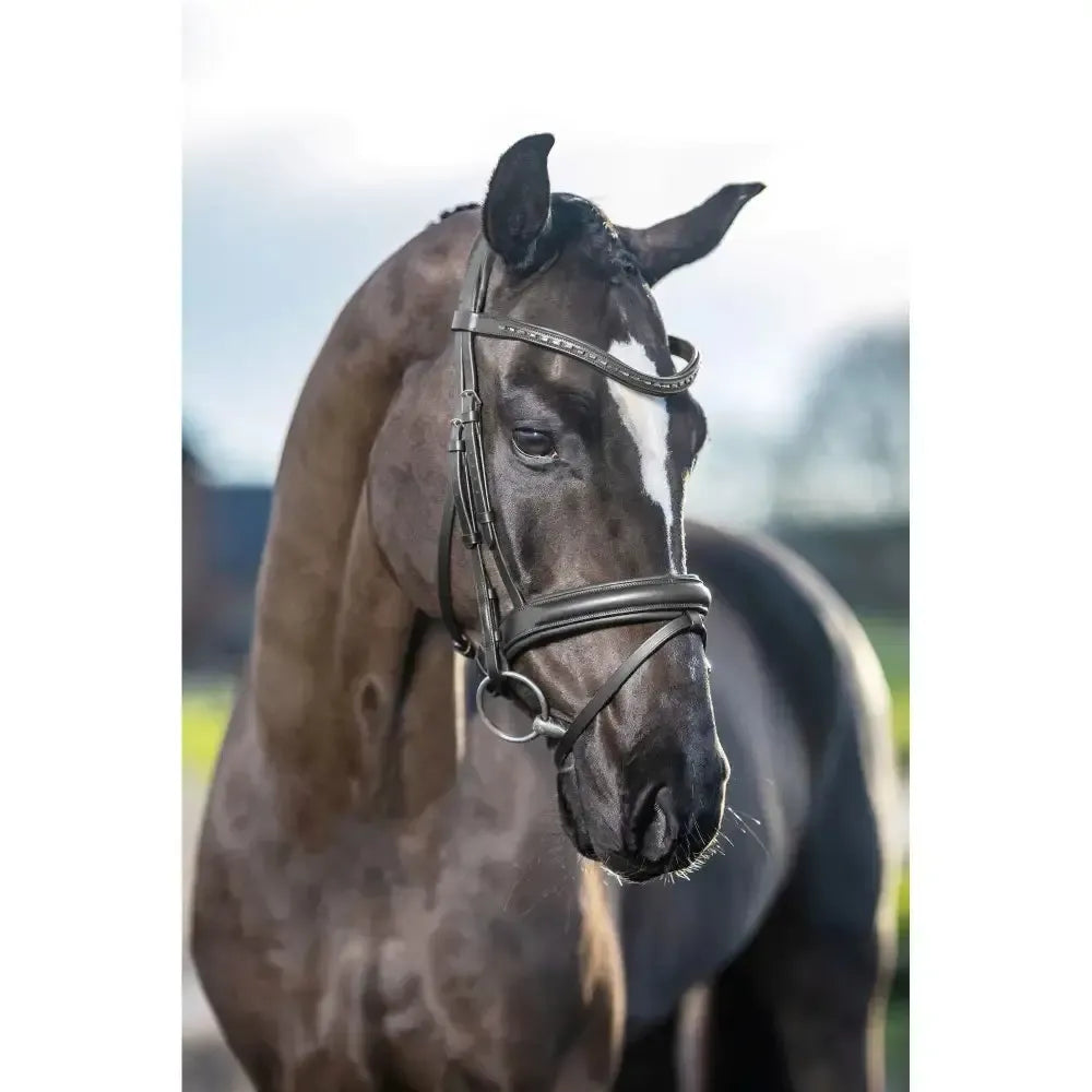 LeMieux Arika Dressage Bridle Black/Silver Pony Black/Silver Flash Bridles
