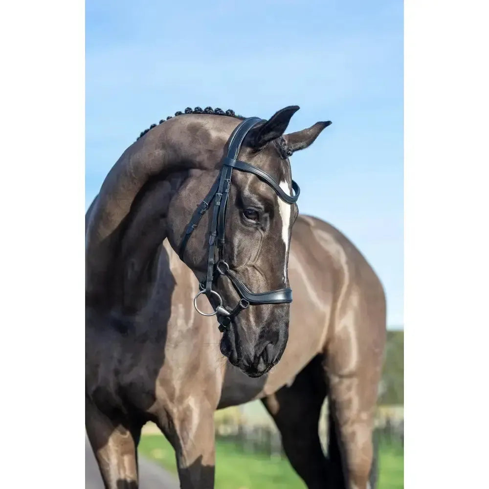 LeMieux Arika Drop Bridle Black/Silver Pony Black/Silver Drop Noseband Bridles