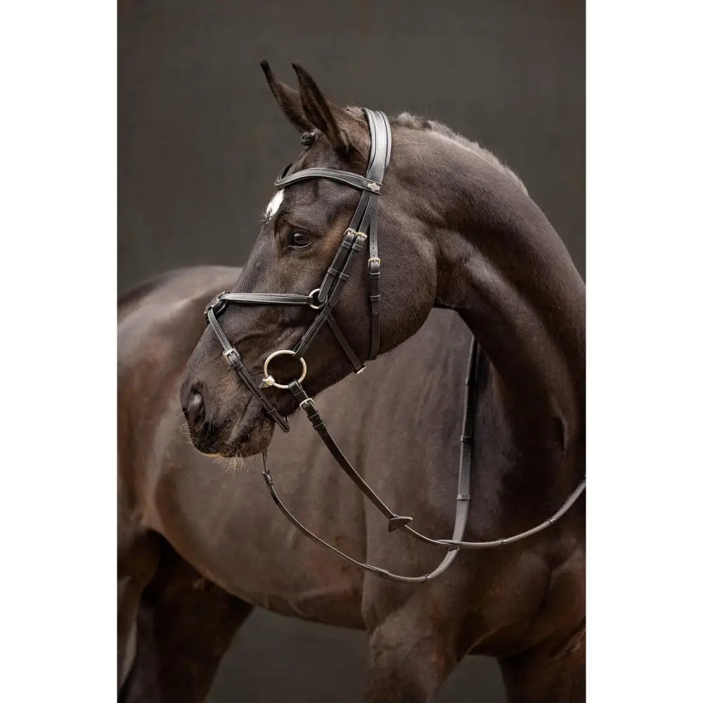 Black leather arika grackle bridle by lemieux with silver hardware designed to be worn higher for style and comfort