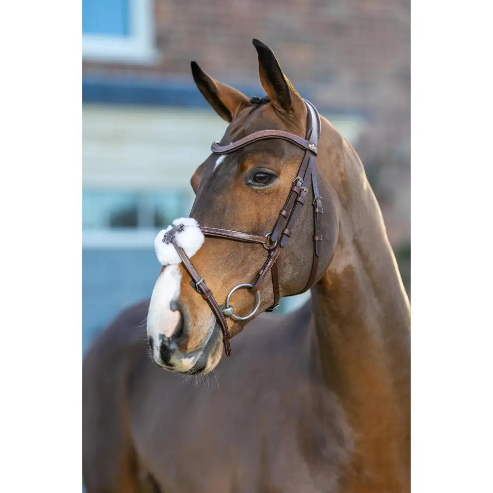 Brown leather lemieux havana silver arika grackle bridle with silver hardware and white fleece noseband worn higher