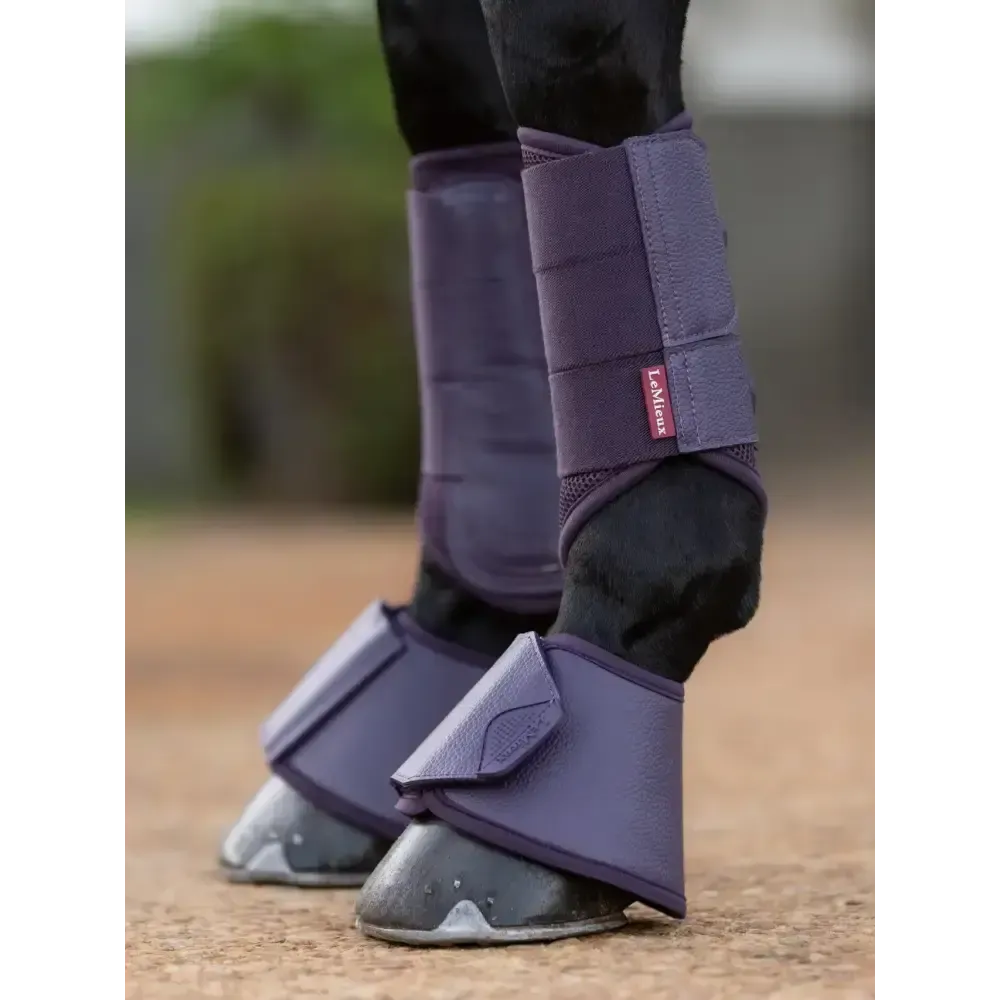 Lemieux Arika Over Reach Boots Juniper Juniper Small Over Reach Boots