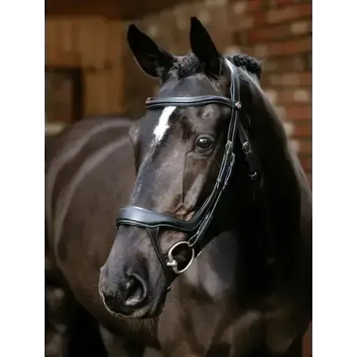 LeMieux Arika Split Noseband Bridle Black Black Pony Bridles