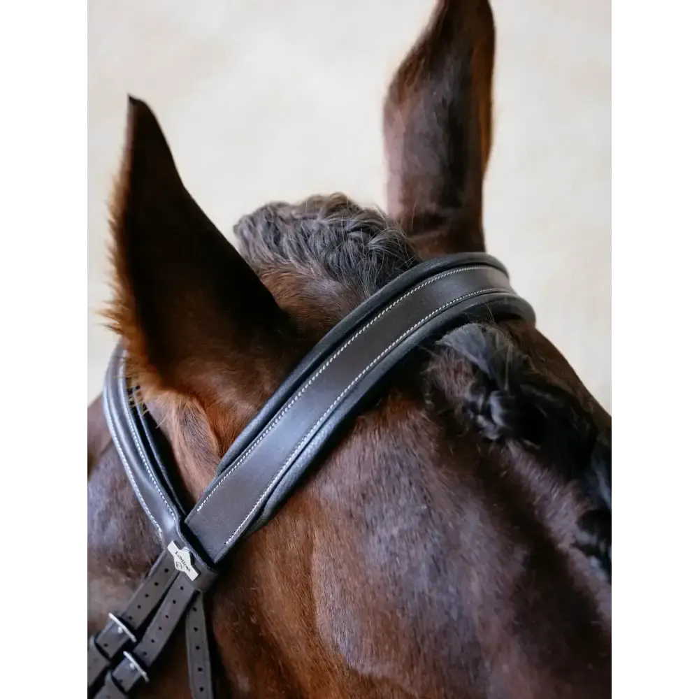 LeMieux Arika Split Noseband Bridle Brown Havana Pony Bridles